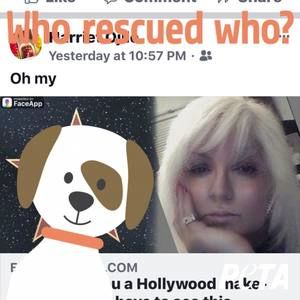 Meet your Posher, Harriet